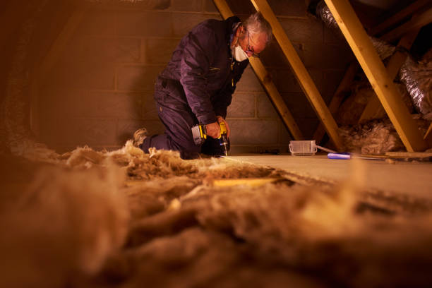 Best Geographic-Specific Insulation Services in Rio Rancho Estates, NM